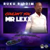 Mr. Lexx - Couldn't You - Single